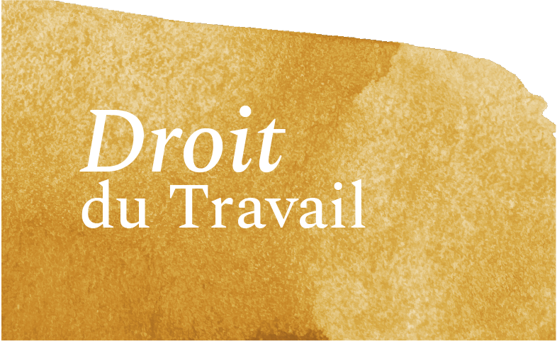 https://fluencia.pt/wp-content/uploads/2025/09/Droit-du-Travail.webp