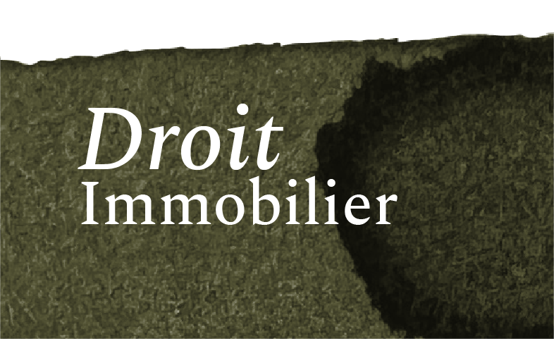 https://fluencia.pt/wp-content/uploads/2025/09/droit-immobilier.webp