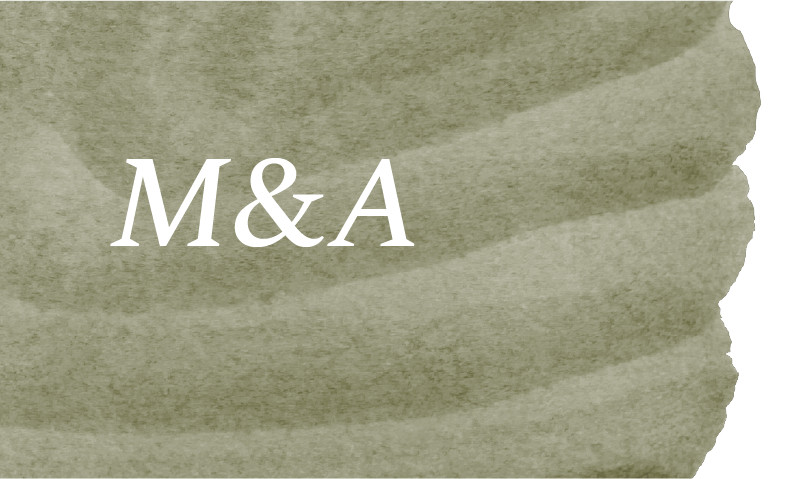 https://fluencia.pt/wp-content/uploads/2025/09/m-and-a.webp
